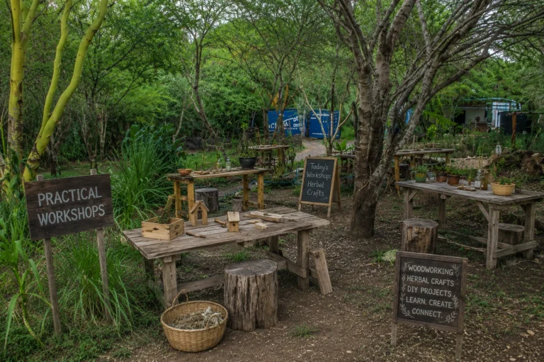Practical_Workshops_GreenNest